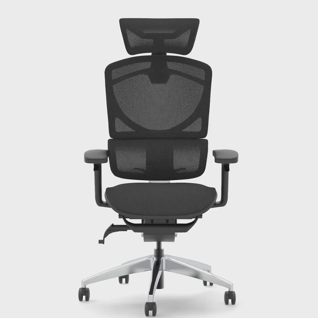 Ergo Click Plus High Back Ergonomic Posture Office Chair with Arms and Headrest