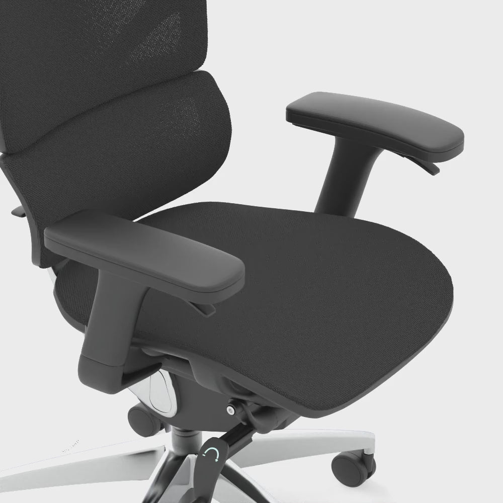 Ergo Click Plus High Back Ergonomic Posture Office Chair with Arms and Headrest